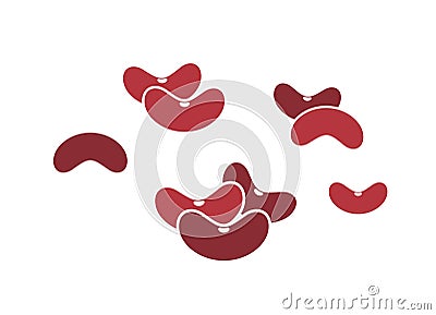 Red kidney bean Vector Illustration